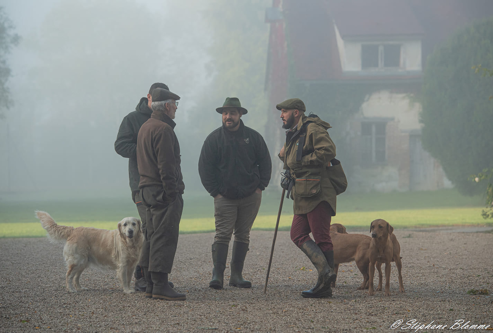 Départ de plusieurs groupes de chasseurs en forêt avec le soleil et la brume qui se lève