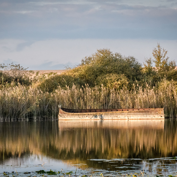 Étang de la Verrerie de Saint Gond avec une barque sur l'eau