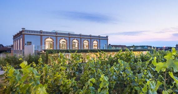 Maison de Champagne proche du vignoble en la ville d'Aÿ