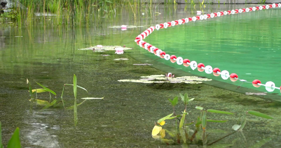 Plan rapproché du bassin biologique de Connantre