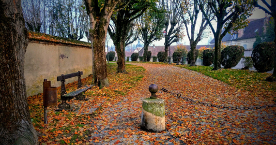 Chemin de promenade à Sézanne